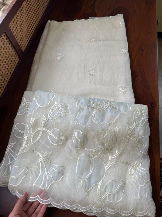 Tissue Organza Saree with appliqué work - Pearl White & Powder Blue