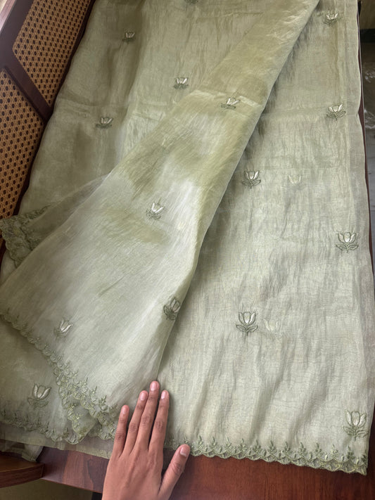 Delicate Tissue Organza Saree - Green