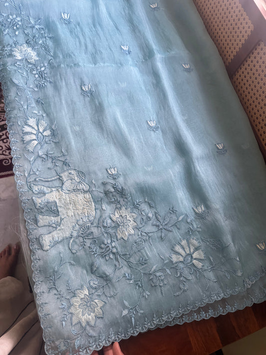 Delicate Tissue Organza Saree - Blue