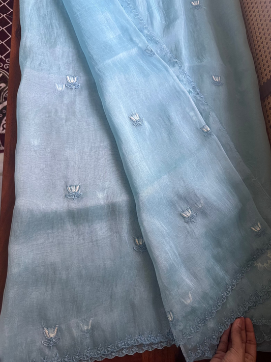 Delicate Tissue Organza Saree - Blue