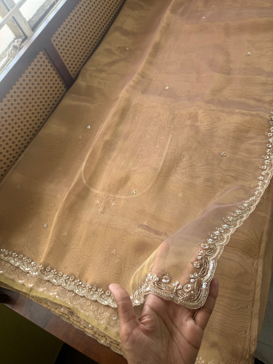 Luxe Tissue Saree with heavy blouse- Molten Golden