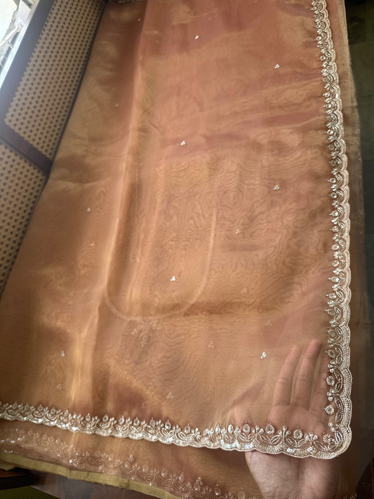Luxe Tissue Saree with heavy blouse- Peach Golden