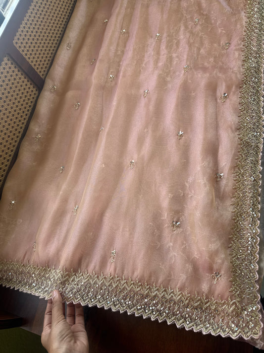 Luxe Tissue Saree with heavy blouse- Pastel Pink Golden