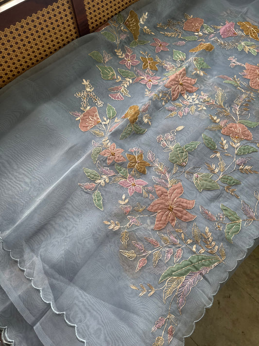 Tissue Organza Saree with appliqué work - Blue