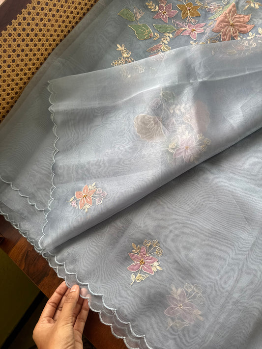 Tissue Organza Saree with appliqué work - Blue