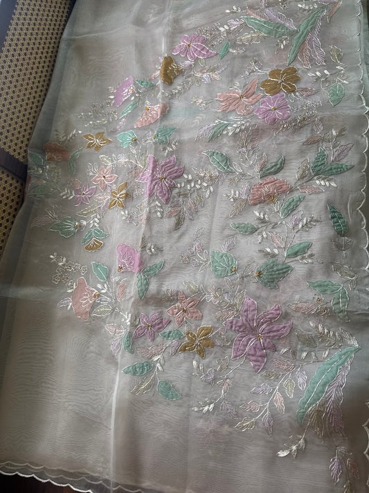 Tissue Organza Saree with appliqué work - Champagne Beige