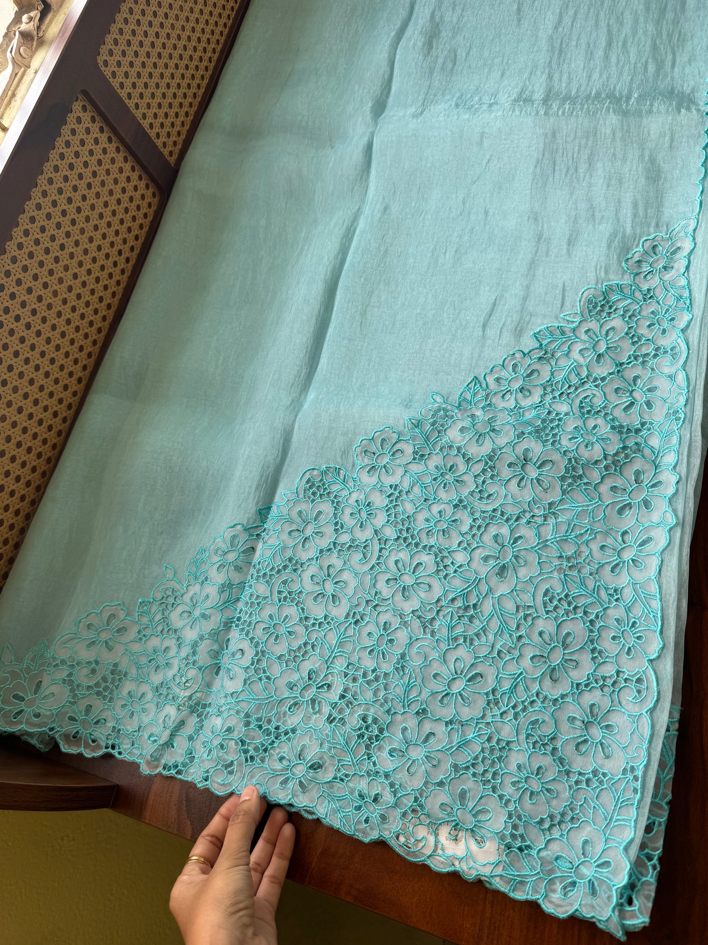 Cutwork Tissue Organza Saree - Blue