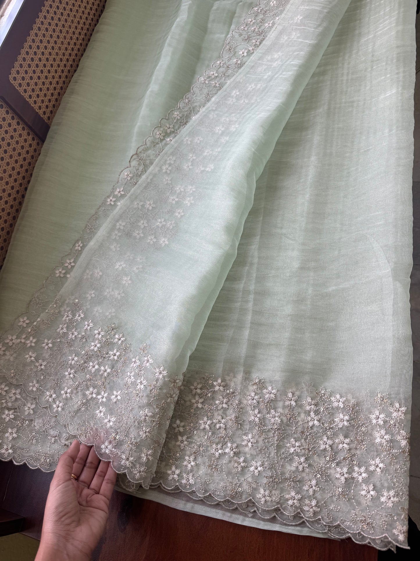 Delicate Tissue Organza Saree - Pastel Green