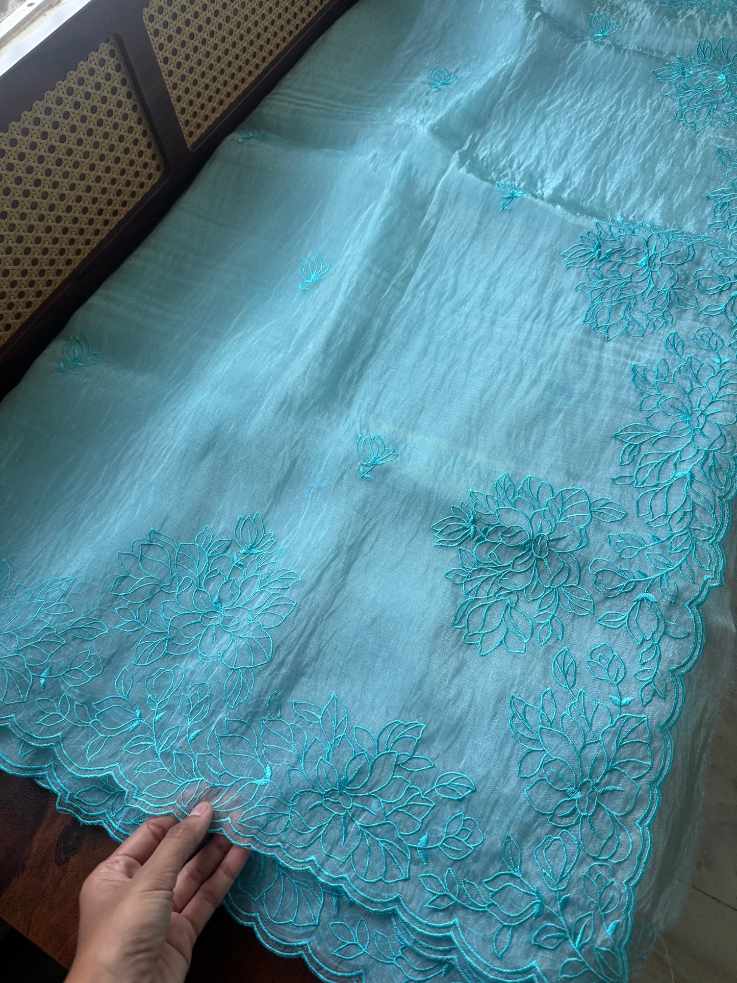 Tissue Organza Saree - Blue