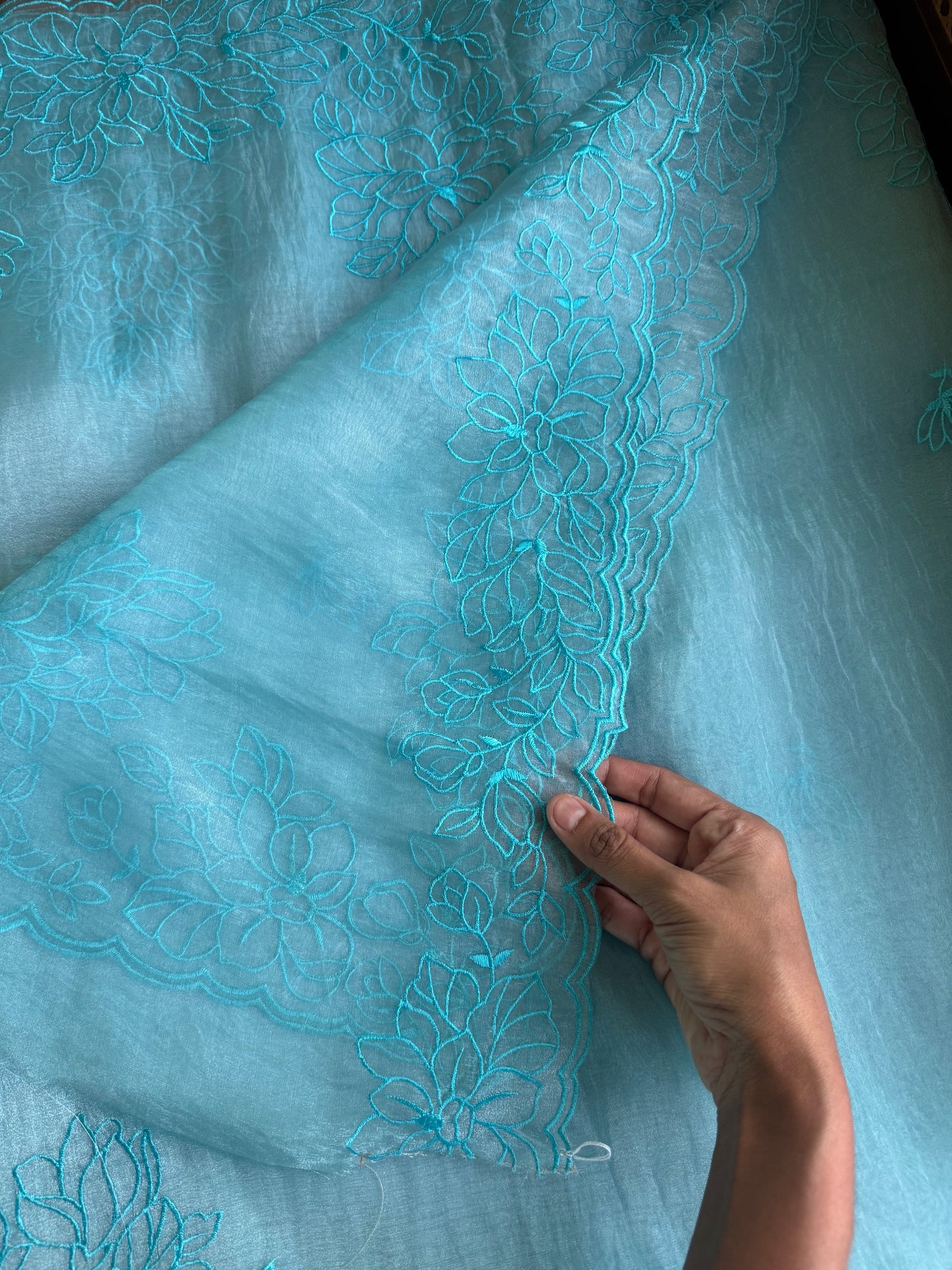 Tissue Organza Saree - Blue