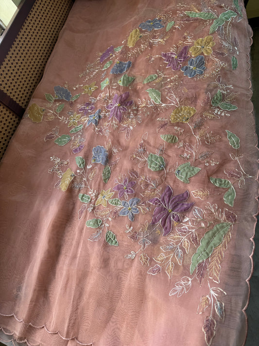 Tissue Organza Saree with appliqué work - Peach