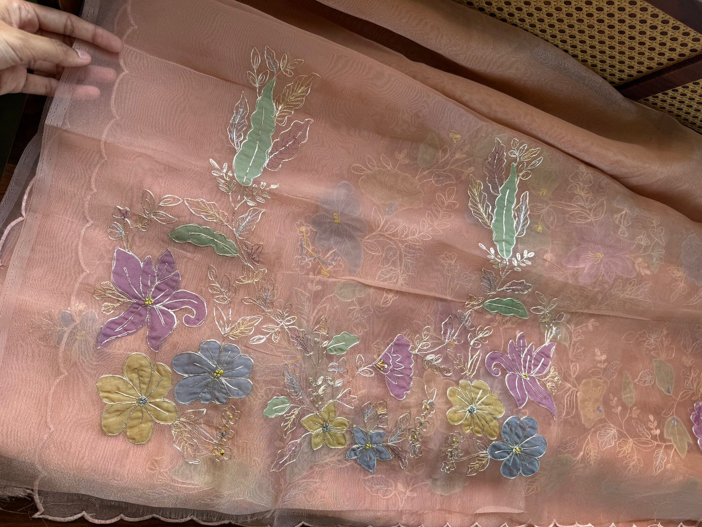 Tissue Organza Saree with appliqué work - Peach