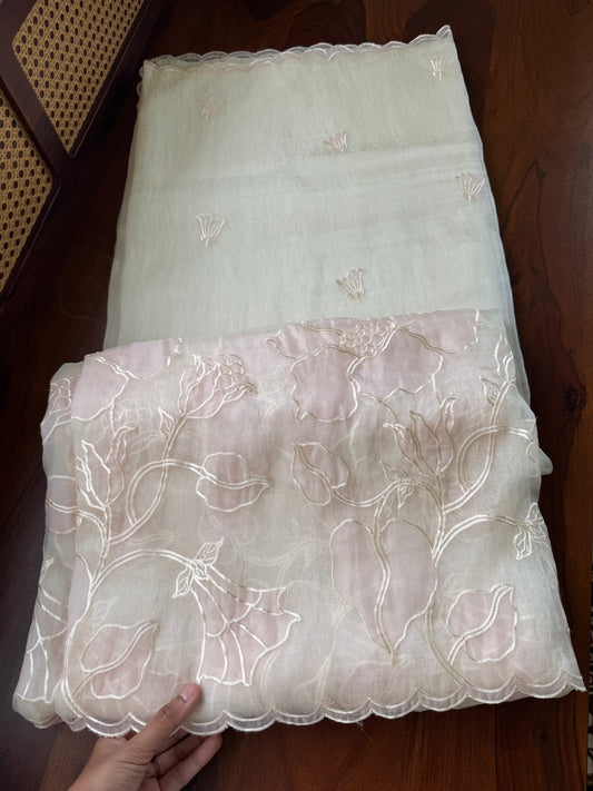Tissue Organza Saree with appliqué work - Pearl White & Pink