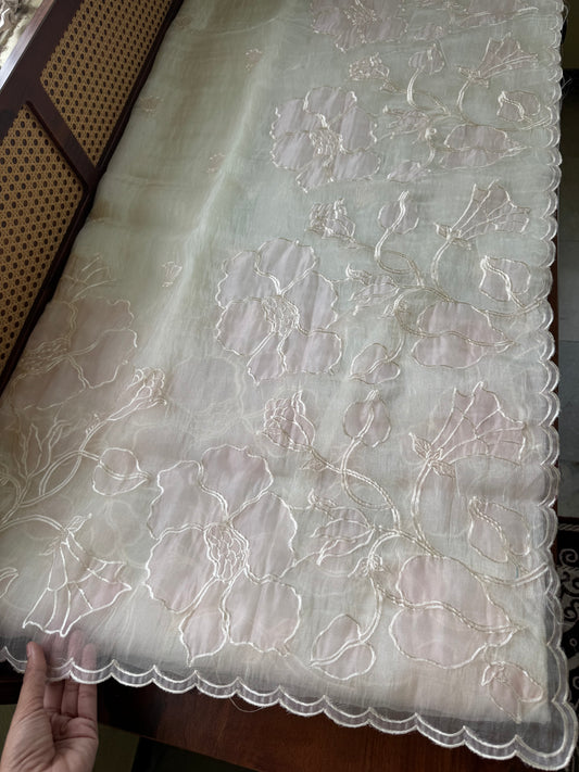 Tissue Organza Saree with appliqué work - Pearl White & Pink