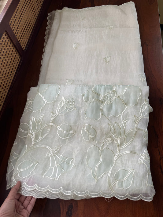 Tissue Organza Saree with appliqué work - Pearl White & Pastel Green