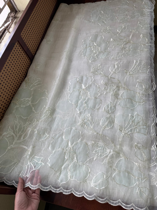 Tissue Organza Saree with appliqué work - Pearl White & Pastel Green