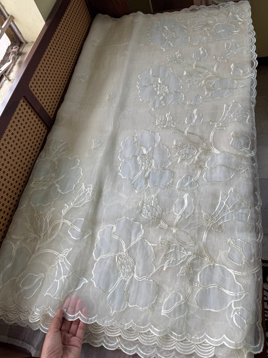 Tissue Organza Saree with appliqué work - Pearl White & Powder Blue