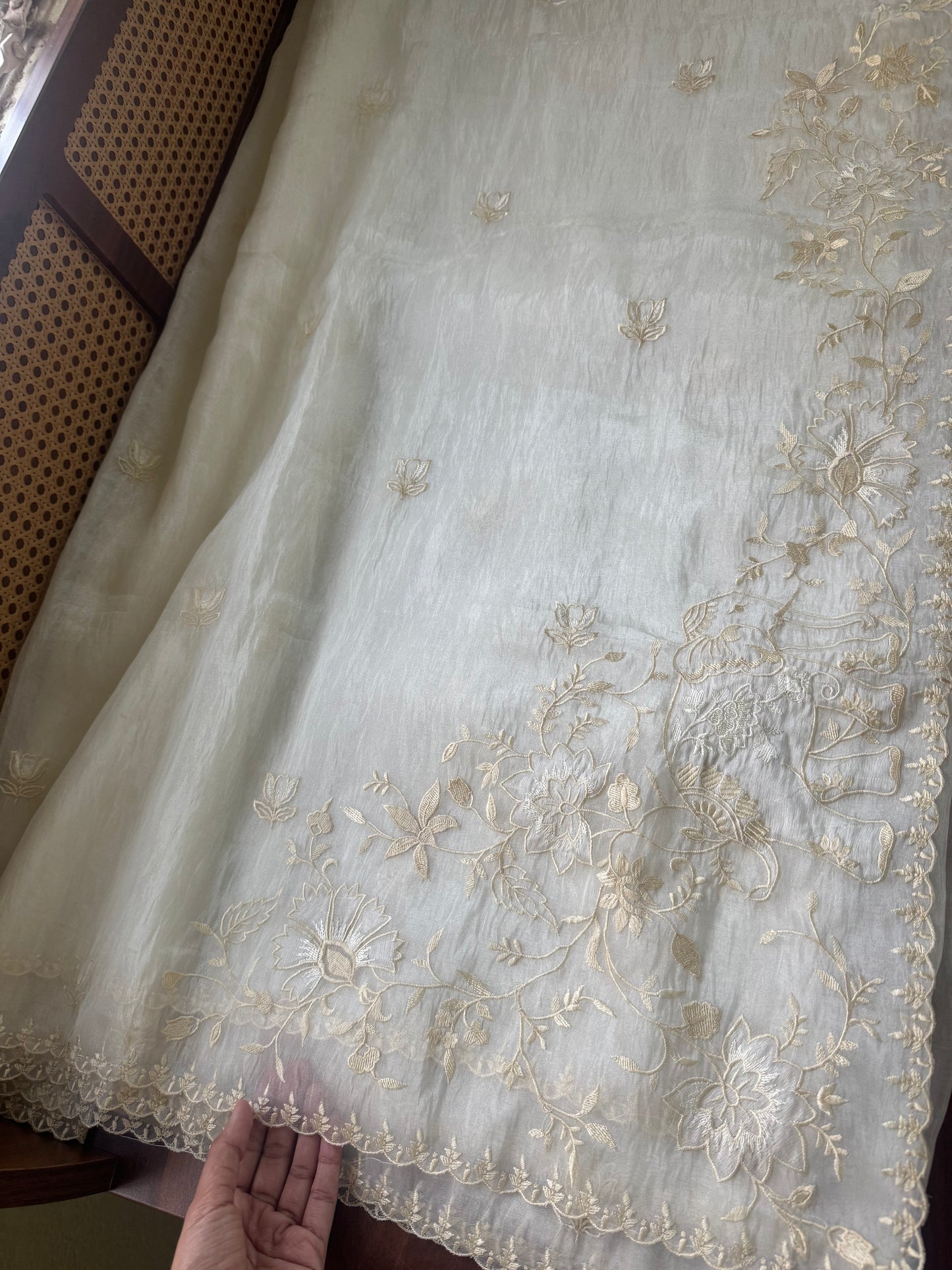Delicate Tissue Organza Saree - Cream white