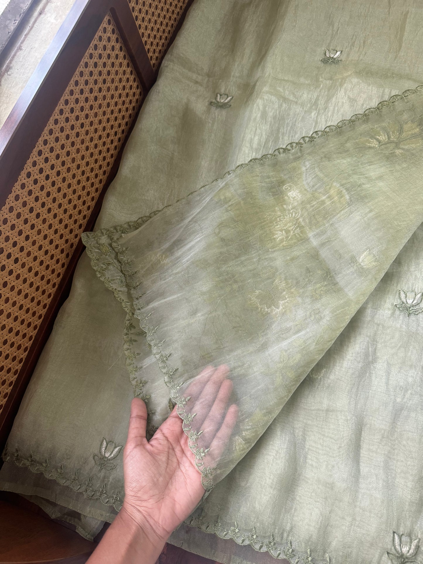 Delicate Tissue Organza Saree - Green