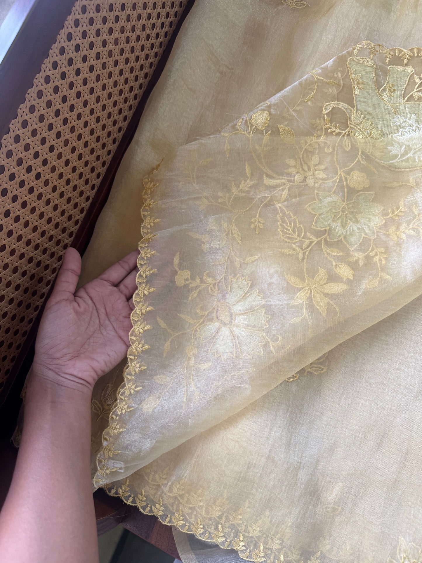 Delicate Tissue Organza Saree - Yellow