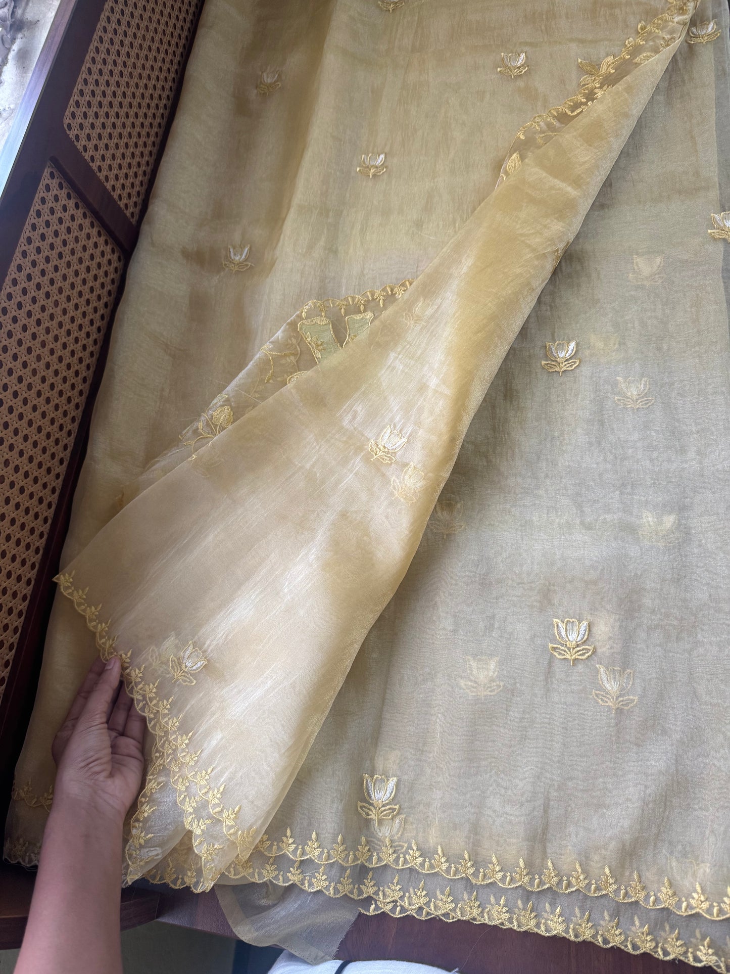 Delicate Tissue Organza Saree - Yellow
