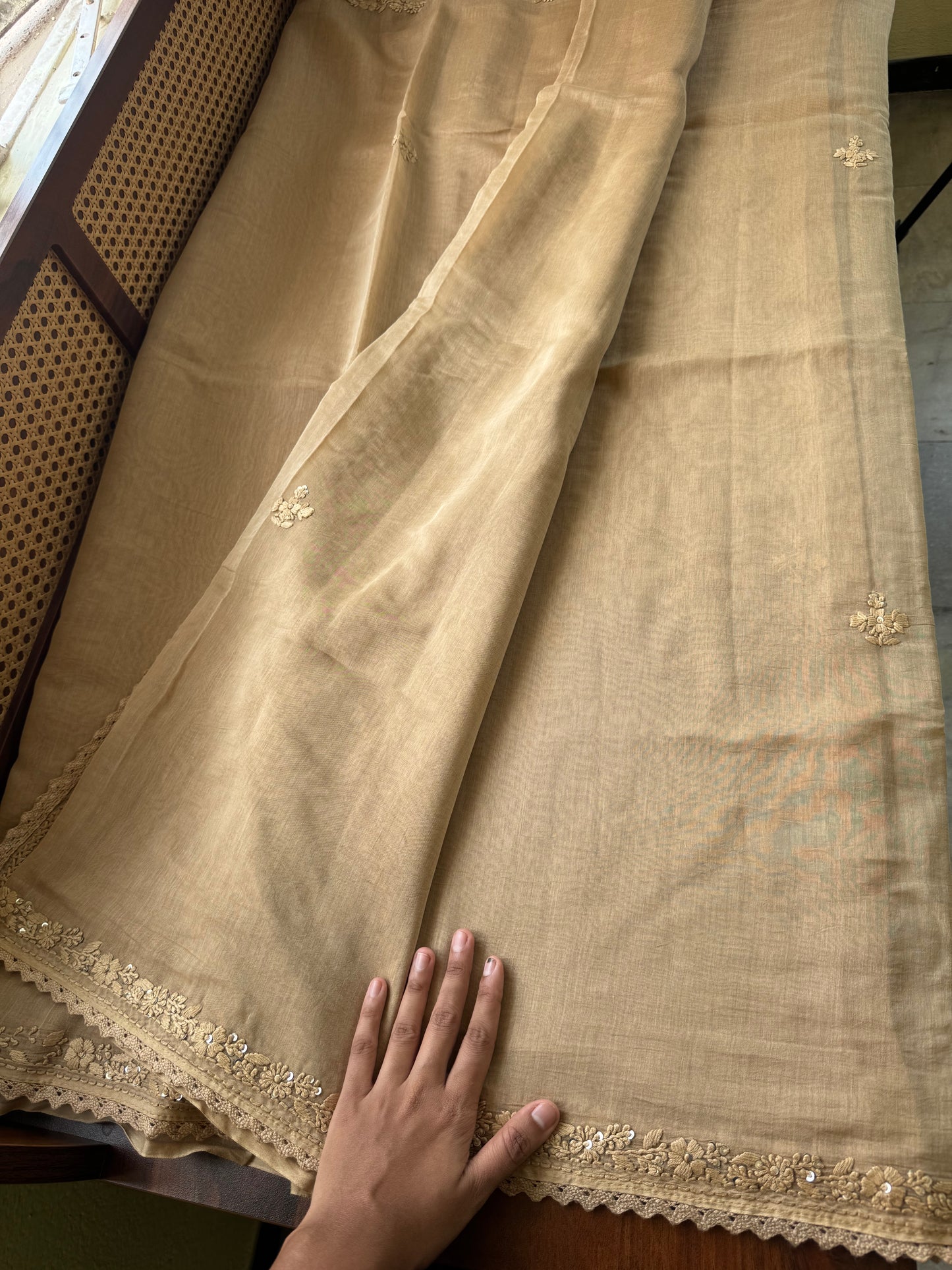 Pure Mul Chanderi Chikankari Saree - Beige