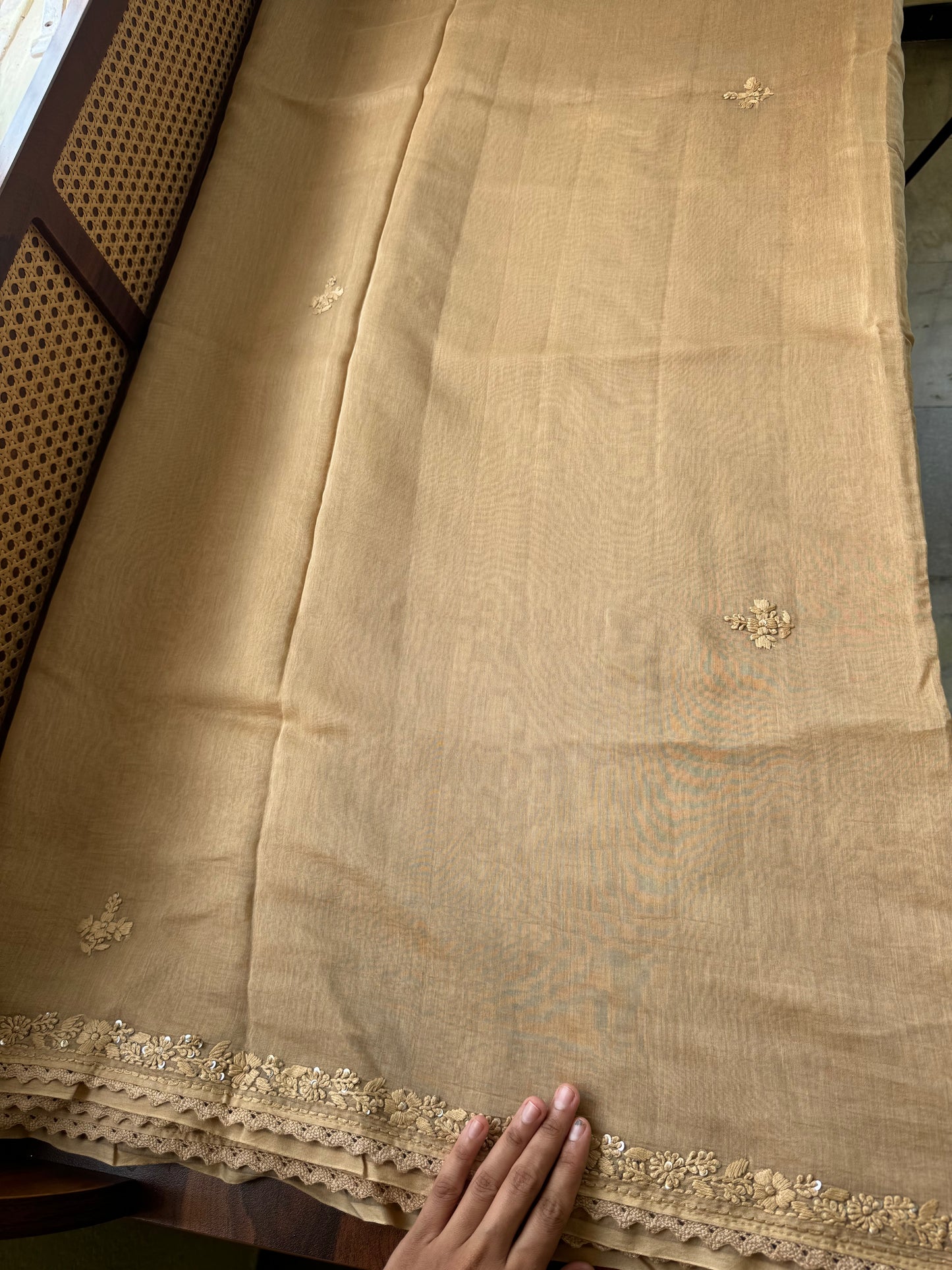 Pure Mul Chanderi Chikankari Saree - Beige