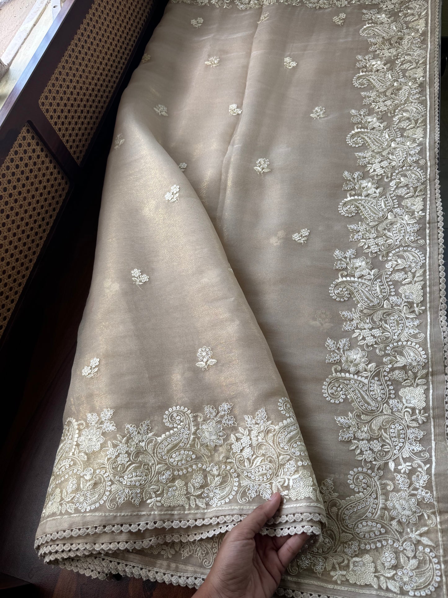 Tissue Organza Saree - Beige Golden