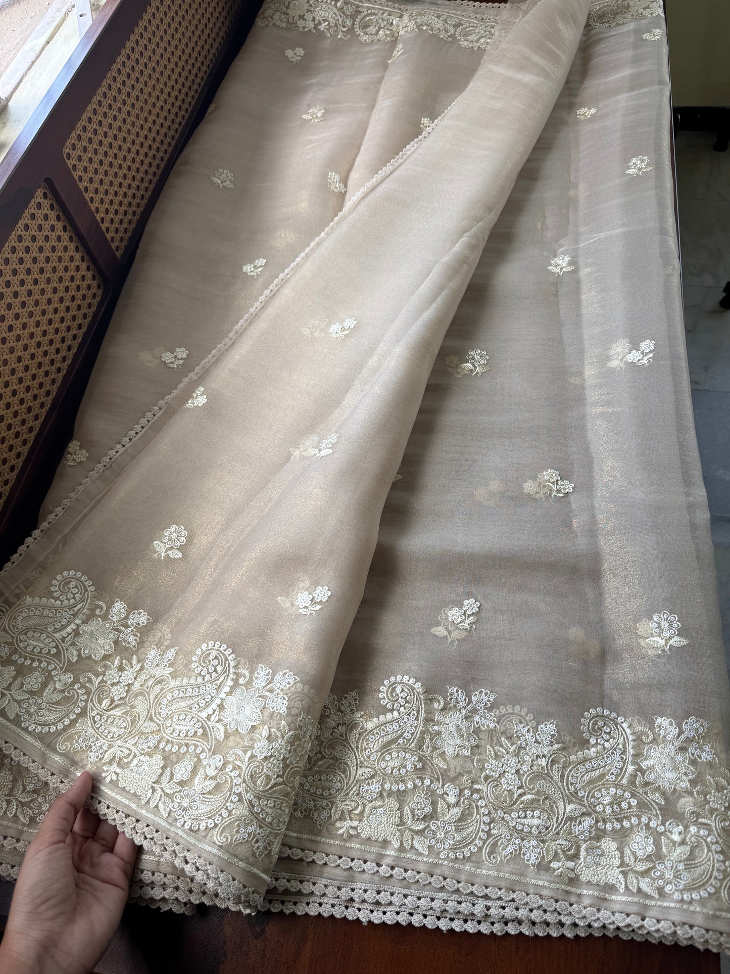 Tissue Organza Saree - Beige Golden