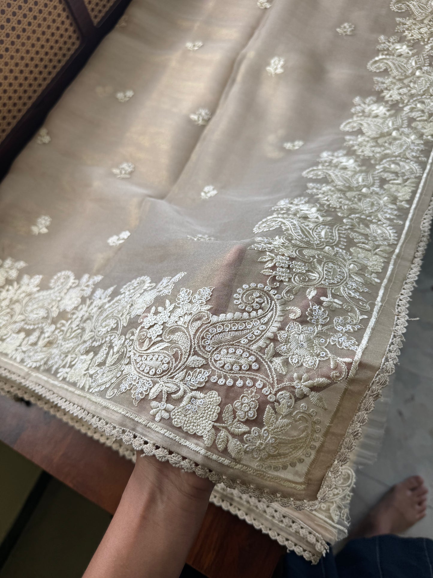 Tissue Organza Saree - Beige Golden