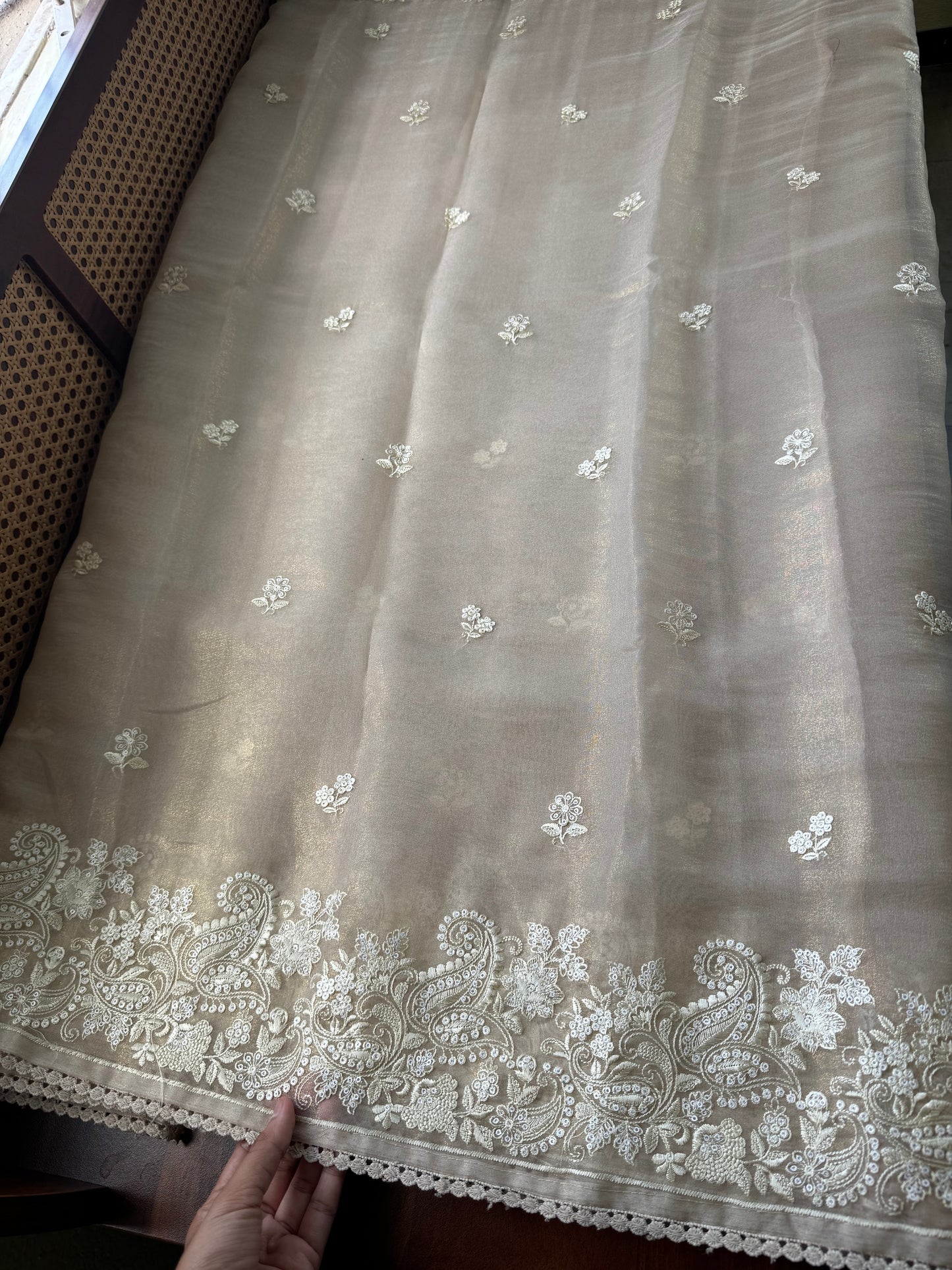 Tissue Organza Saree - Beige Golden