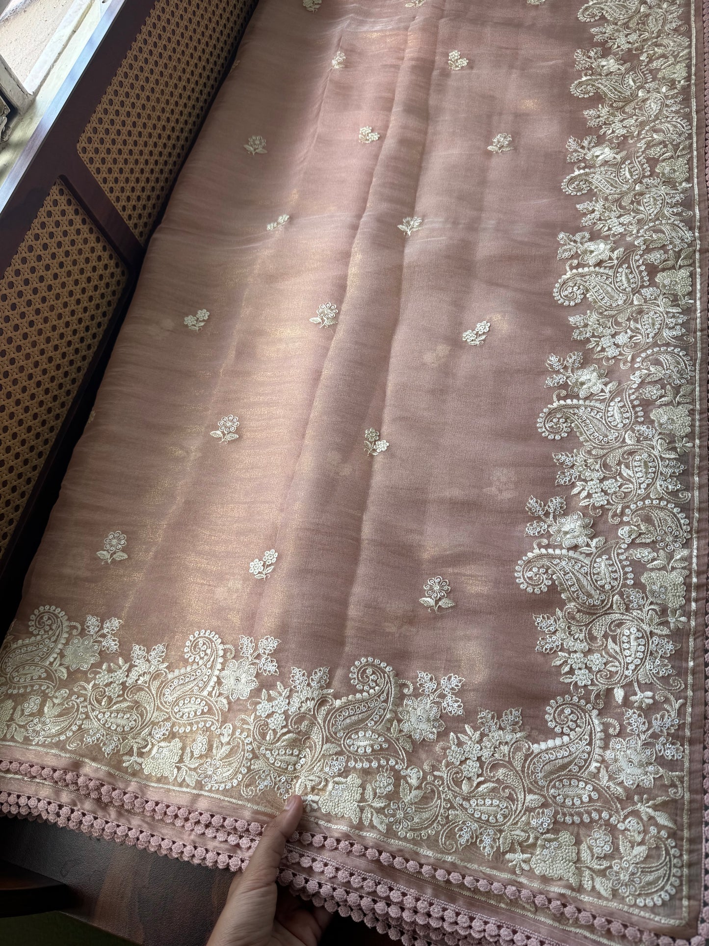 Tissue Organza Saree - Peach