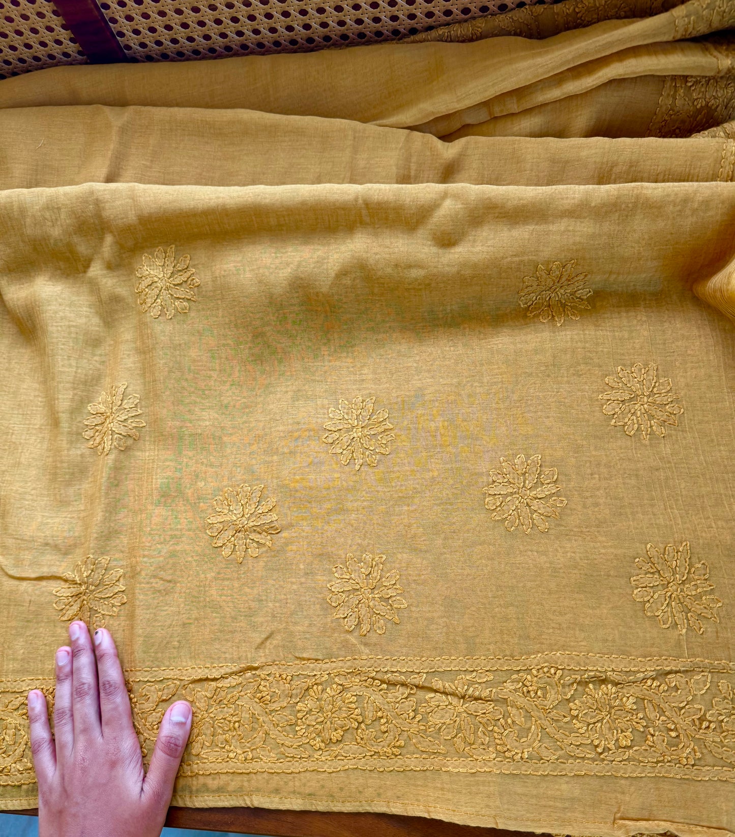 Pure Mul Chanderi Chikankari Saree with Jaal Pallu - Mustard Yellow