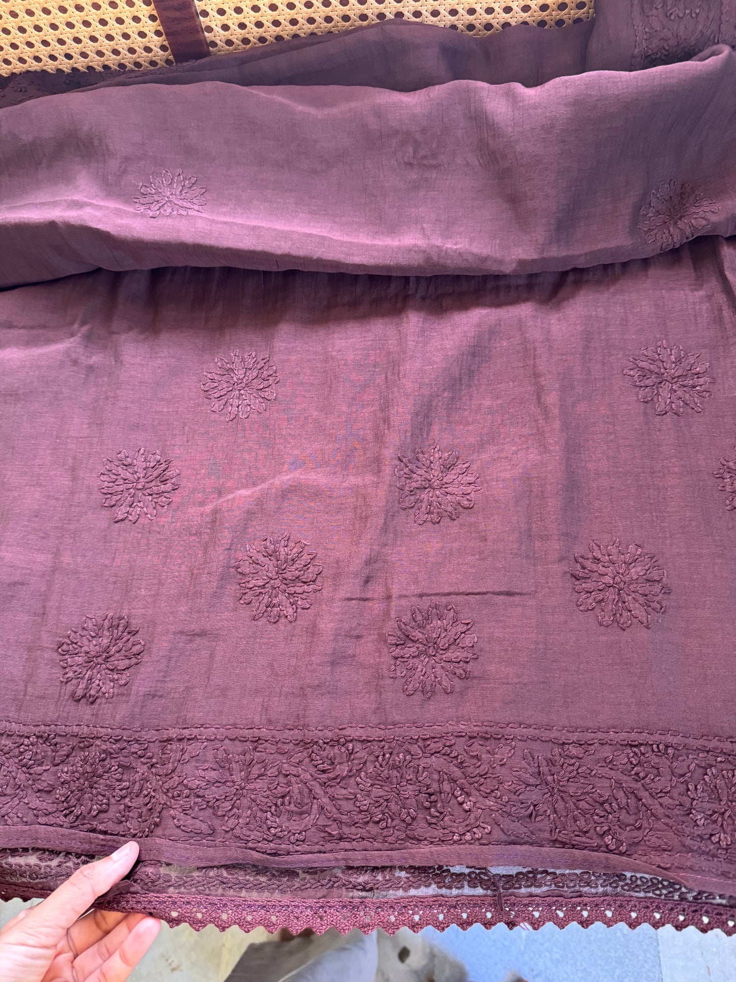 Pure Mul Chanderi Chikankari Saree with Jaal Pallu - Brown