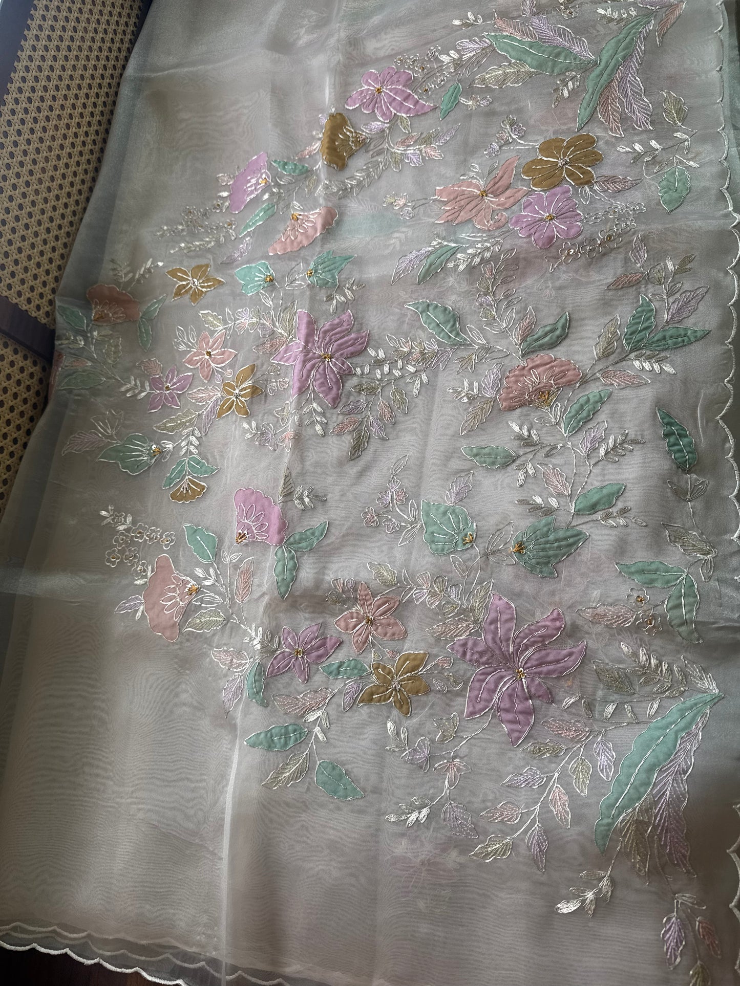 Tissue Organza Saree with appliqué work - Champagne Beige