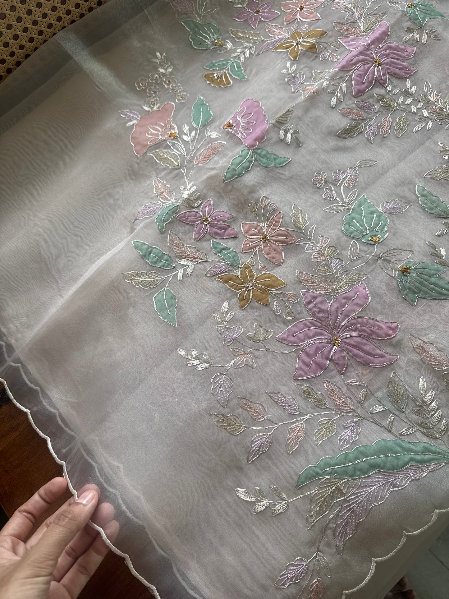 Tissue Organza Saree with appliqué work - Champagne Beige