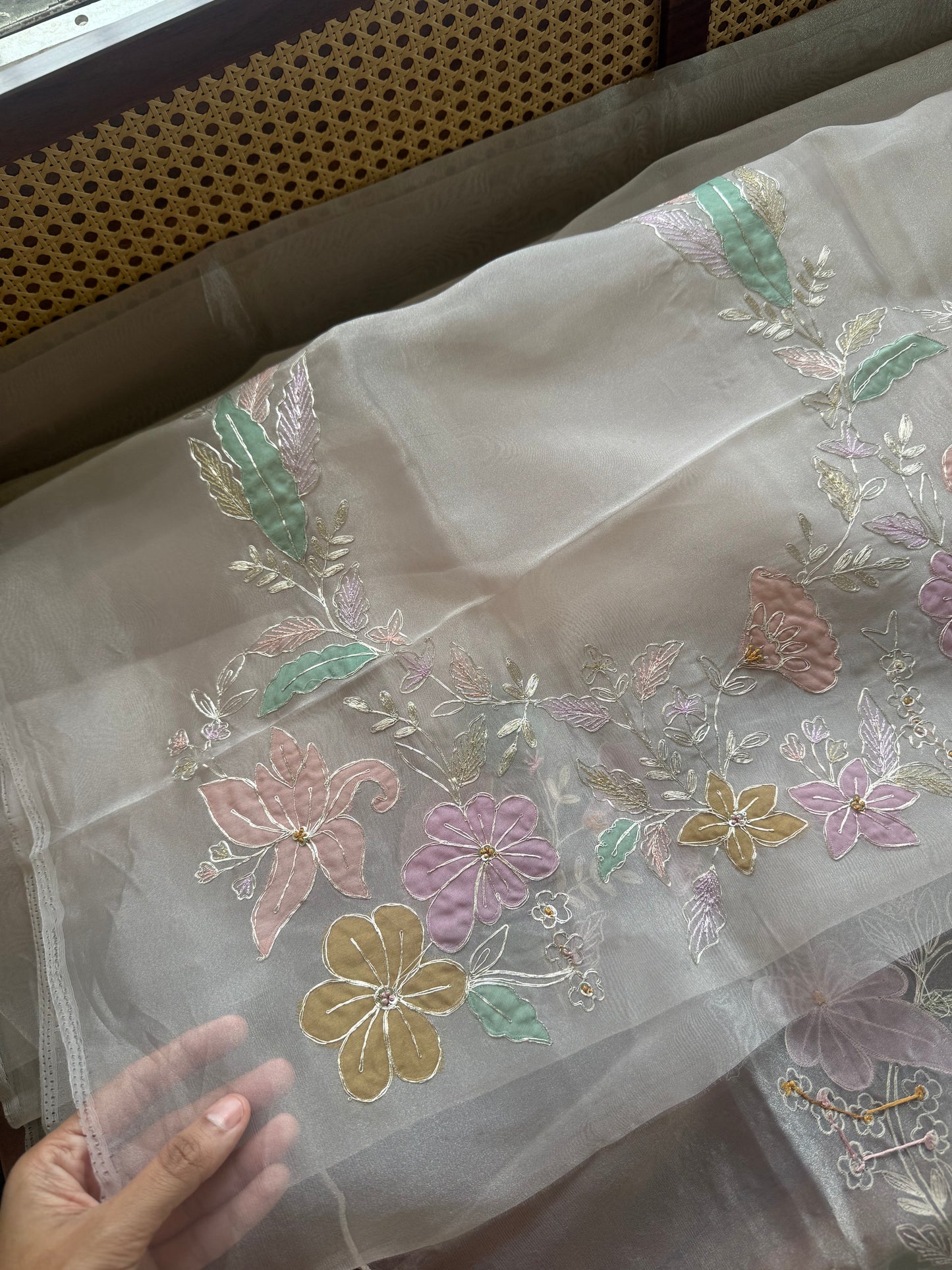 Tissue Organza Saree with appliqué work - Champagne Beige