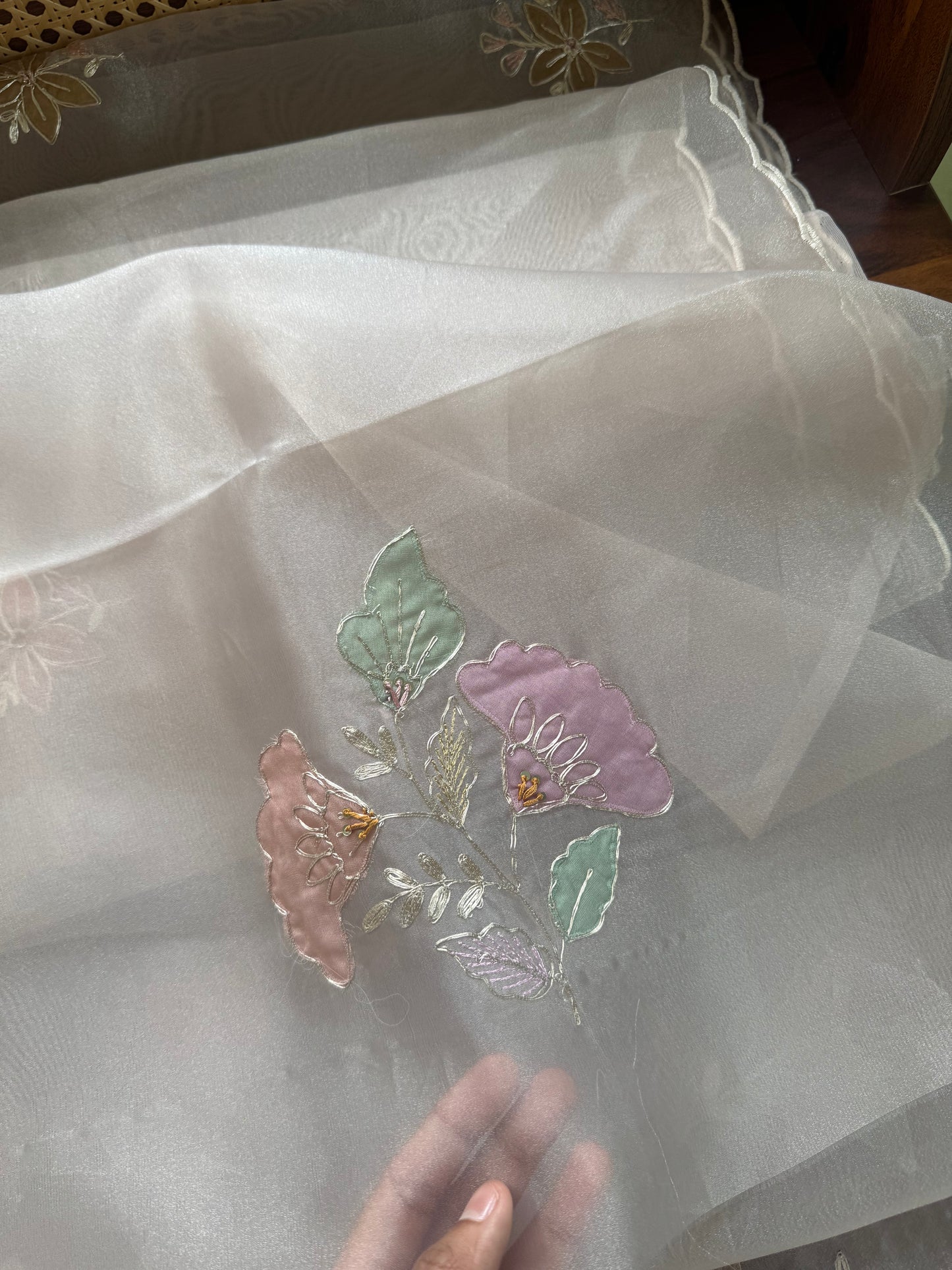 Tissue Organza Saree with appliqué work - Champagne Beige