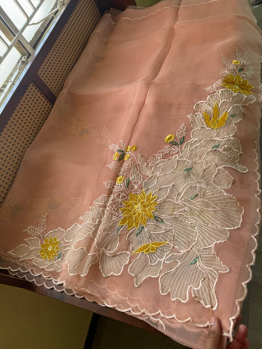 Designer Tissue Organza Saree - Peach