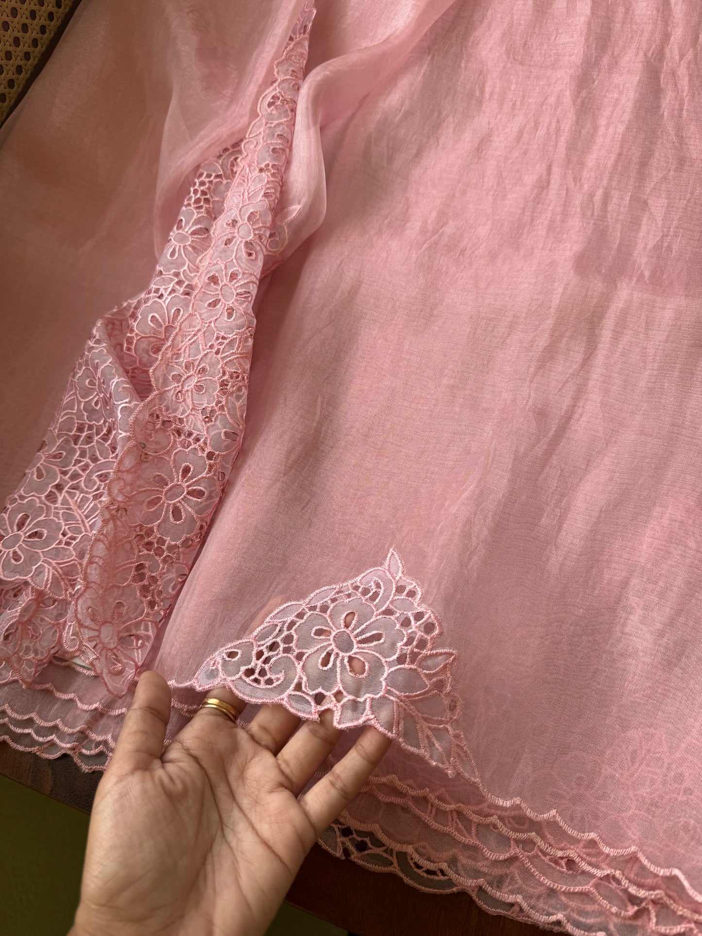 Cutwork Tissue Organza Saree - Pink