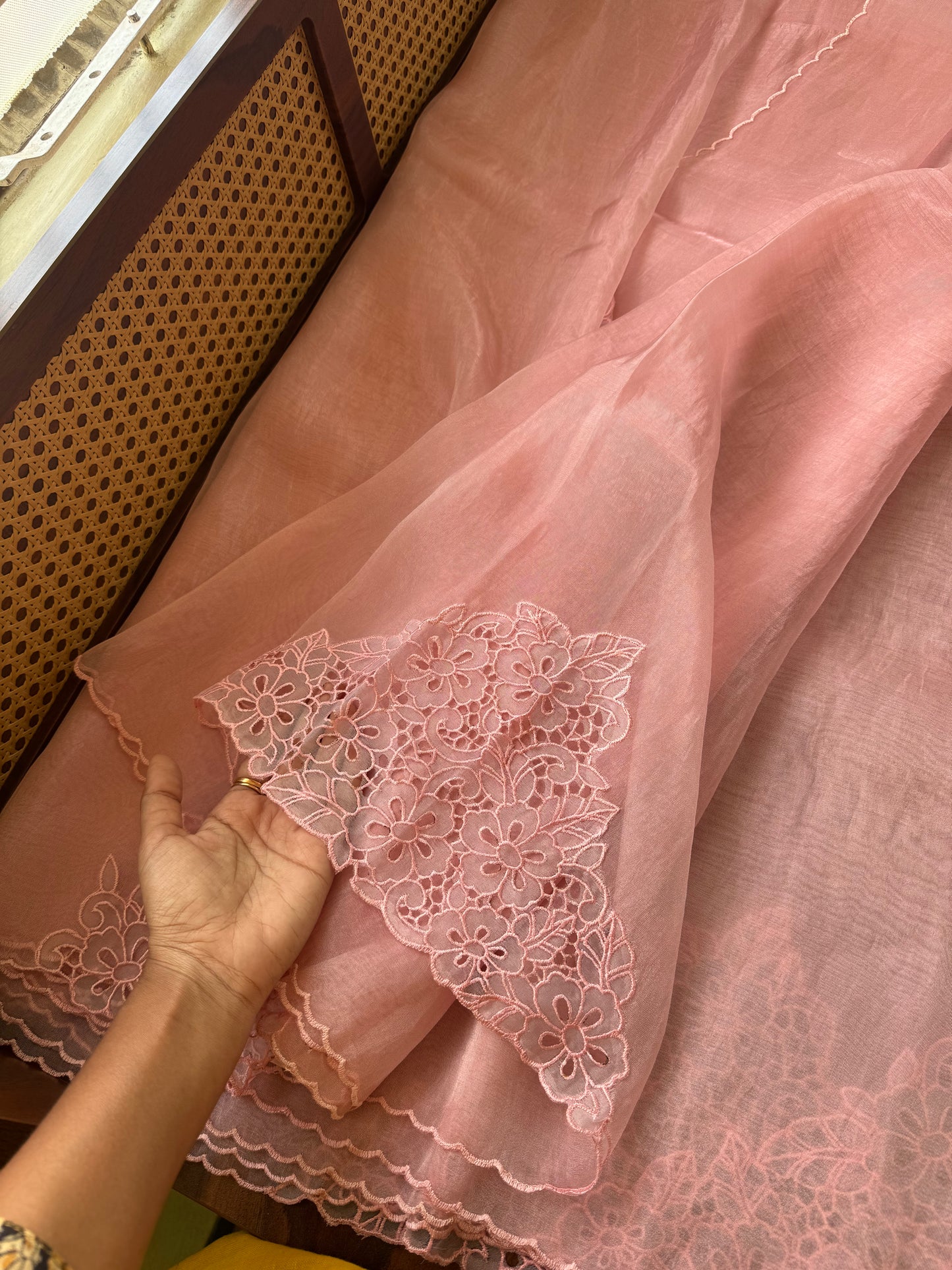 Cutwork Tissue Organza Saree - Pink