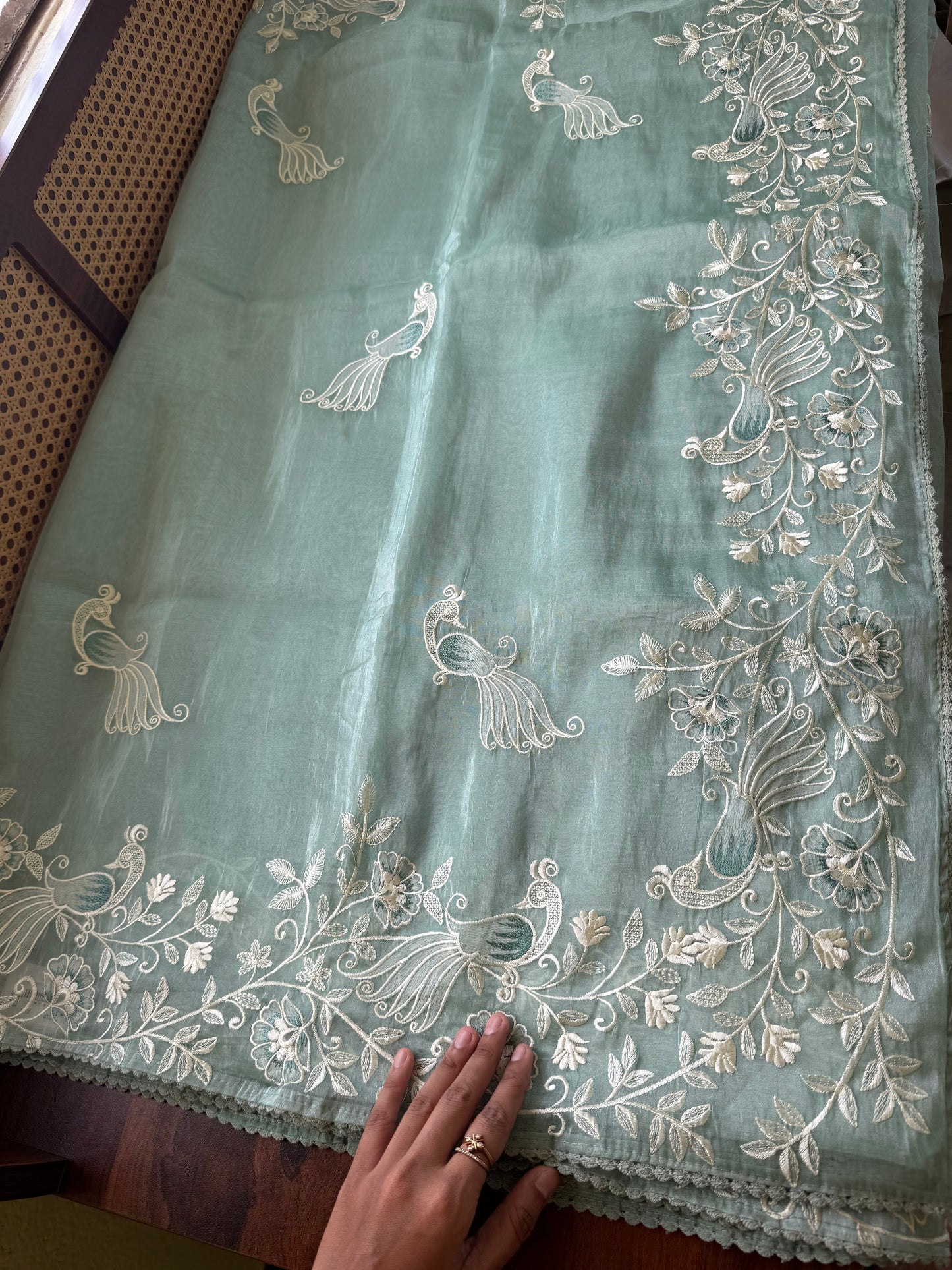 Delicate Tissue Organza Saree - Pastel Green