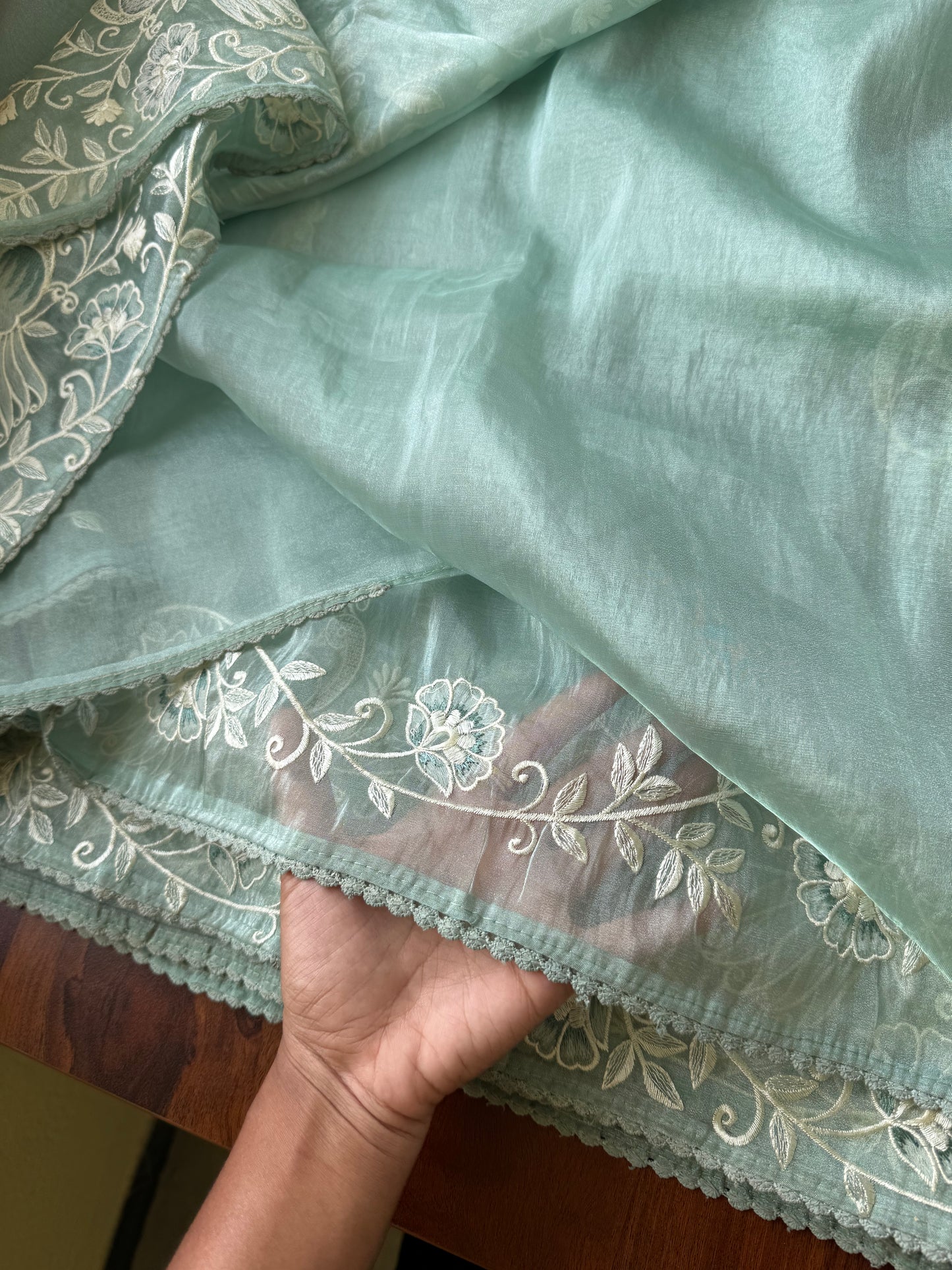 Delicate Tissue Organza Saree - Pastel Green