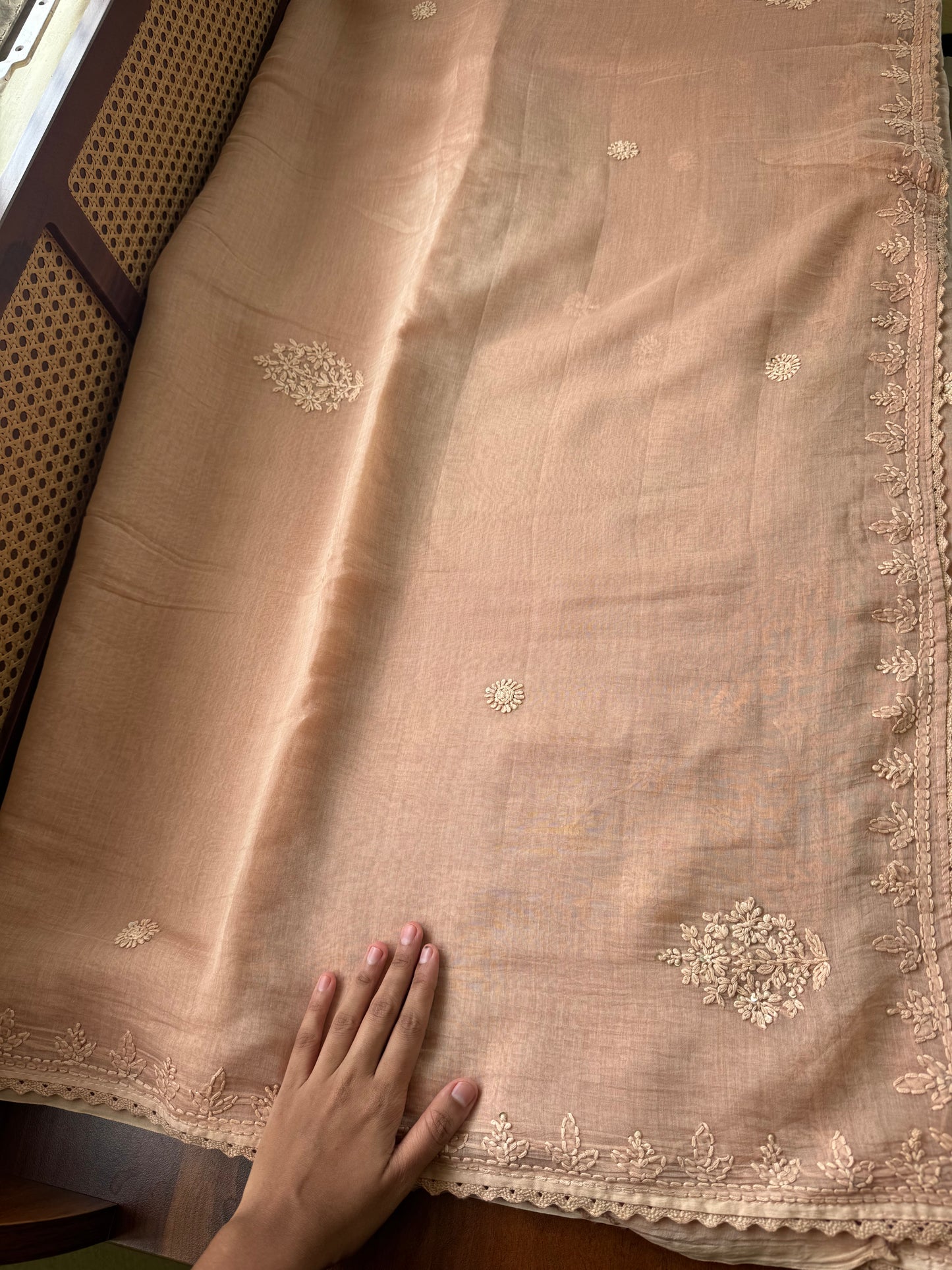 Pure Mul Chanderi Chikankari Saree - Beige