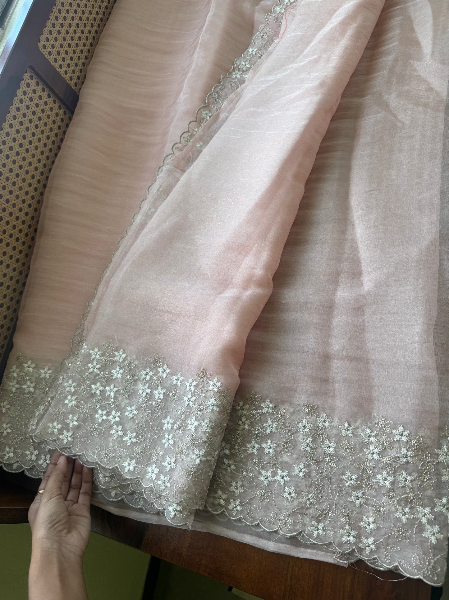 Delicate Tissue Organza Saree - Pastel Peach