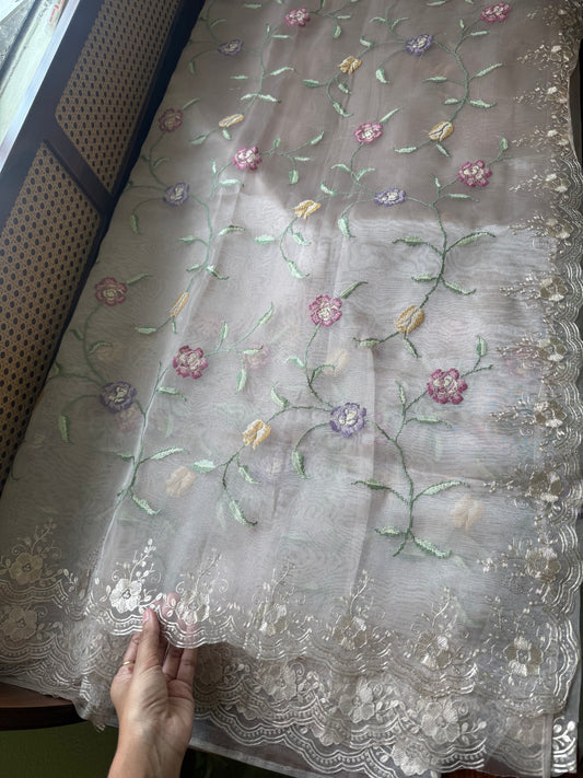 Tissue Organza Saree with pita work - Beige