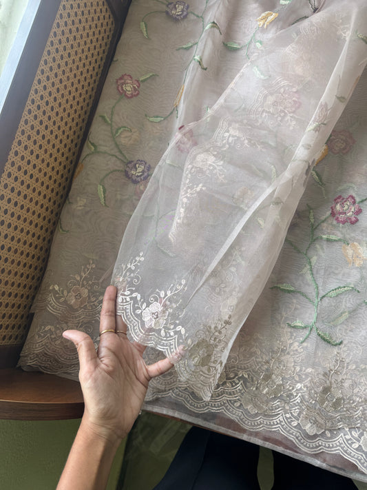 Tissue Organza Saree with pita work - Beige