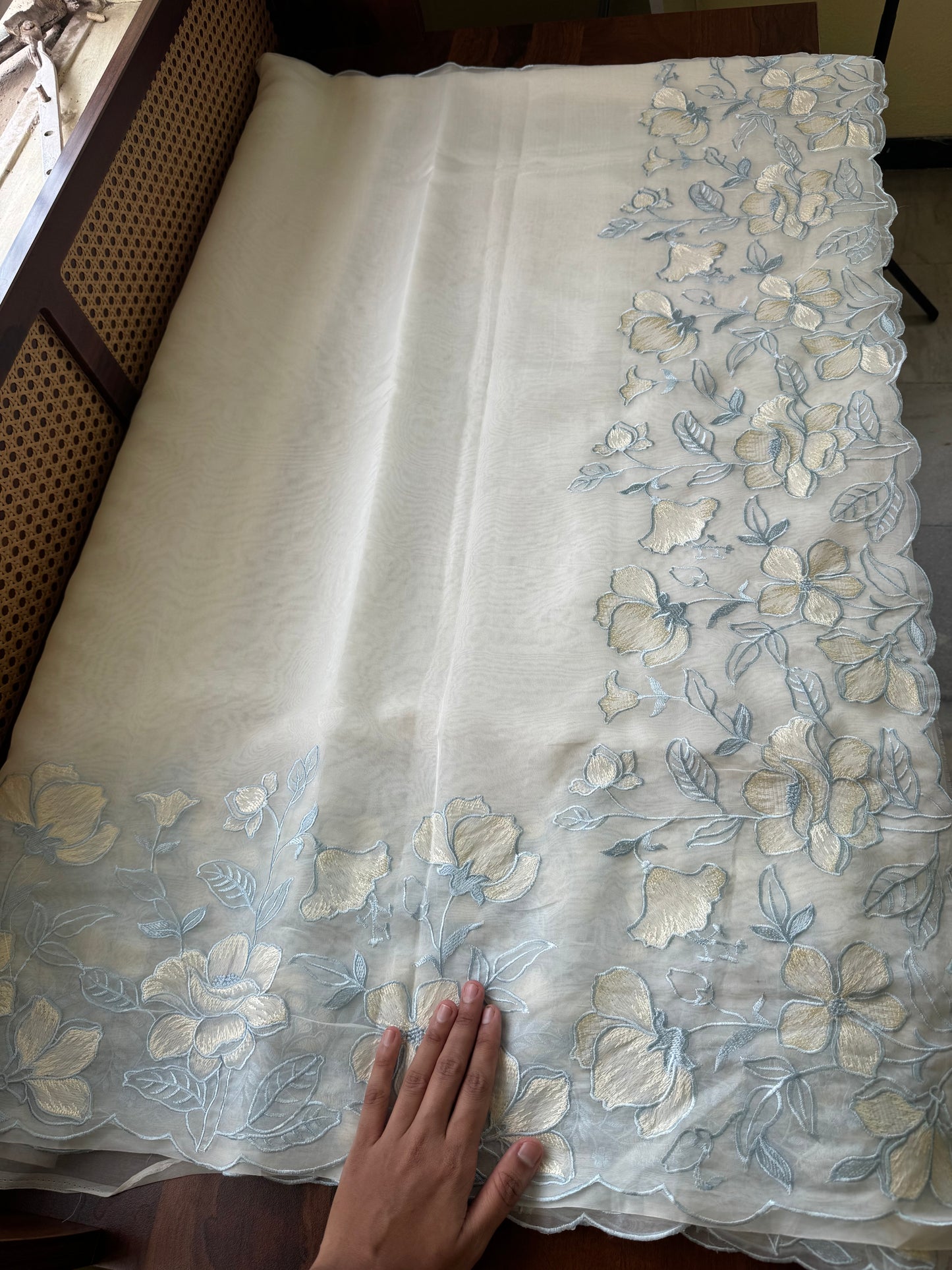 Delicate Tissue Organza Saree - White & Blue