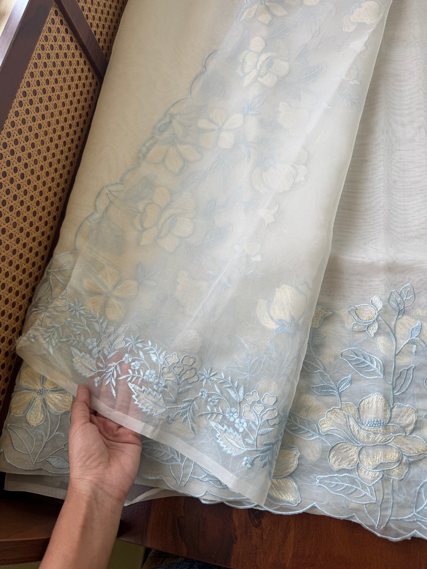 Delicate Tissue Organza Saree - White & Blue