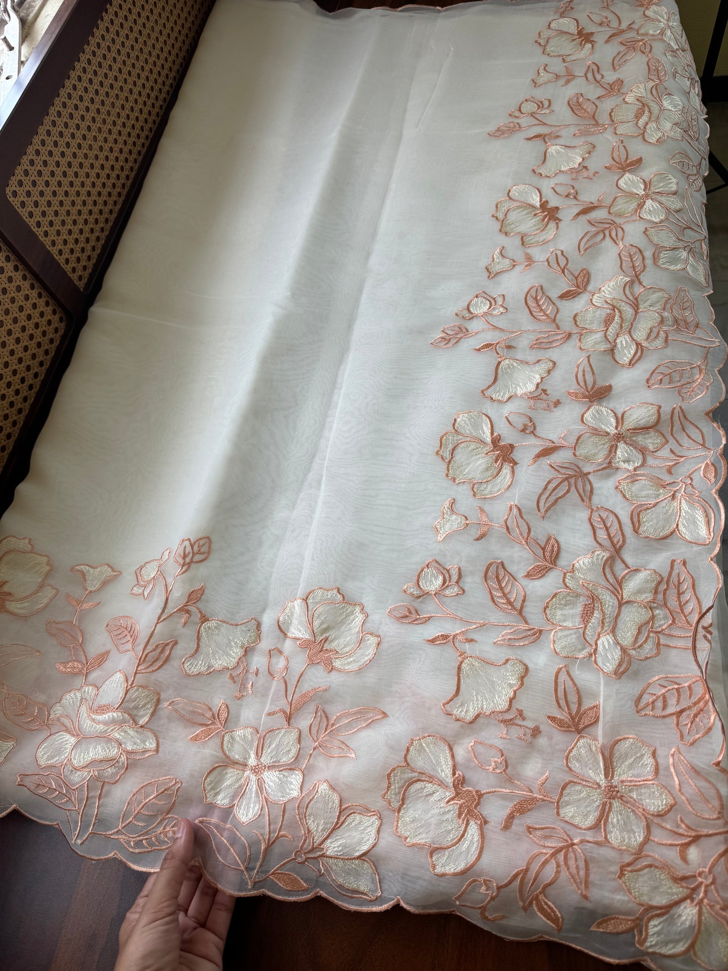 Delicate Tissue Organza Saree - White & Peach